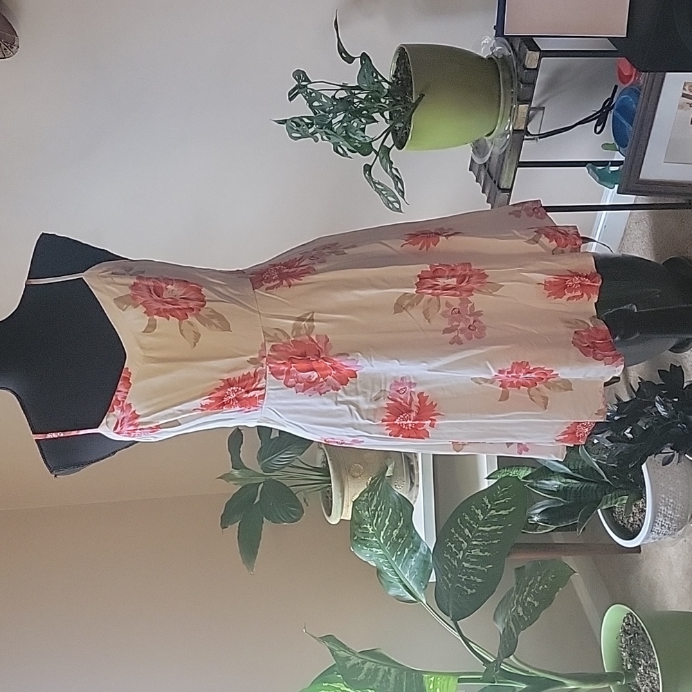 Old Navy White Dress with Red Flowers